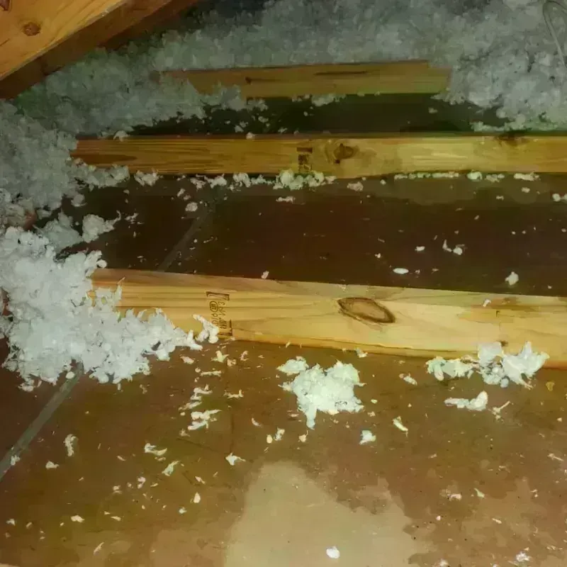 Attic Water Damage in Hagerstown, IN